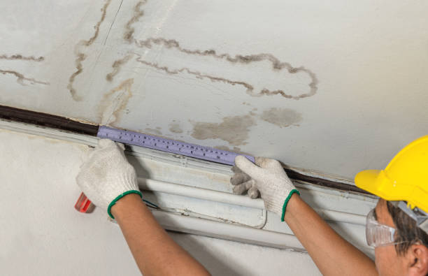 Reliable Water Damage contractor in Jamestown, OH by Water Damage Irwin